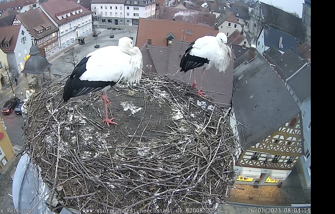 Bild