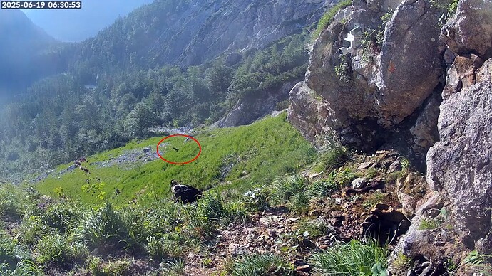 Bildschirmfoto vom 2025-06-19 06-31-17