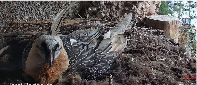 Mascha hingebungs voll 14.01.26