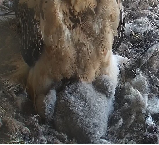 Wollpullover 25.03.24