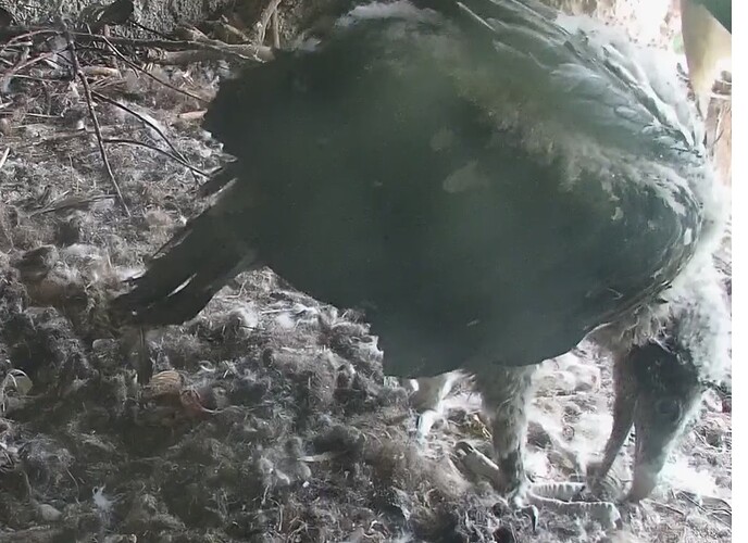 vor dem Ansitz der Eltern 30.04.24