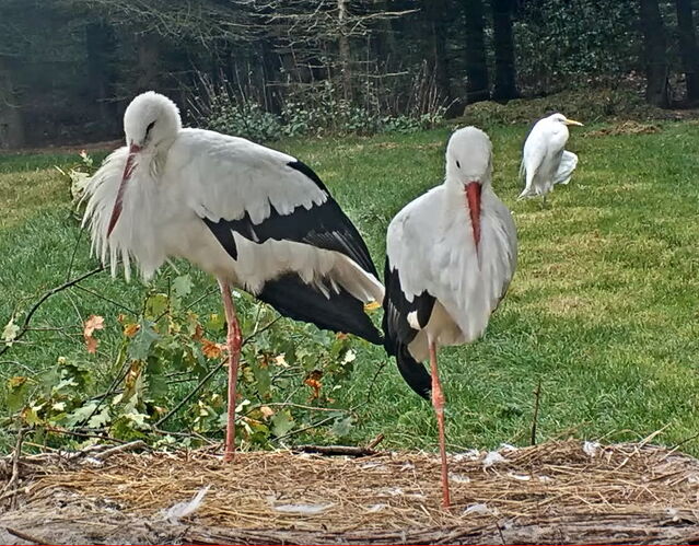 Snap_2023.10.20_16h43m24s_010_