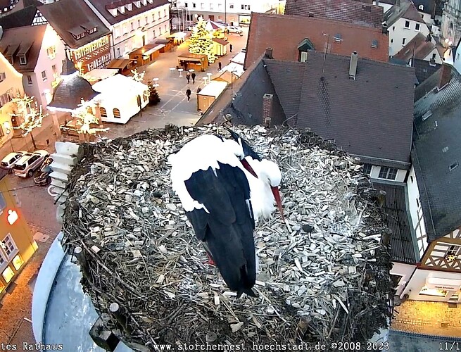 Screenshot_2023-12-11-16-38-46-39_40deb401b9ffe8e1df2f1cc5ba480b12