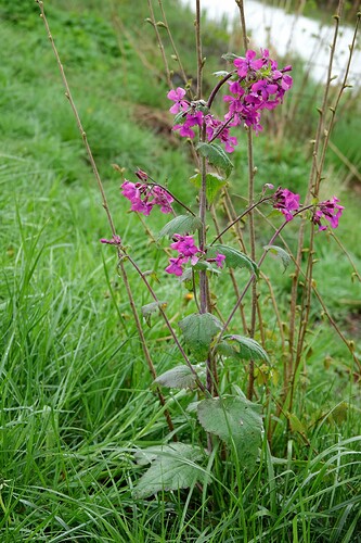 DSC01748_1