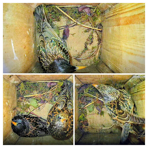 20260228_184542-COLLAGE