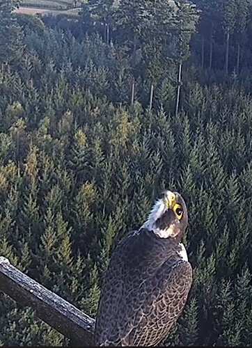 Screenshot_20230914_182859_Chrome