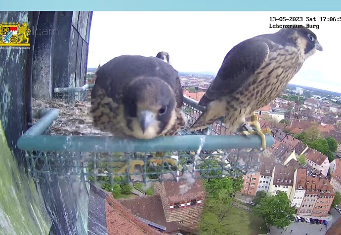 Screenshot_20230513-170714~2