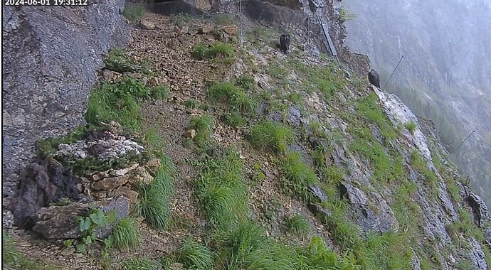 Screenshot_20240601_193133_Chrome