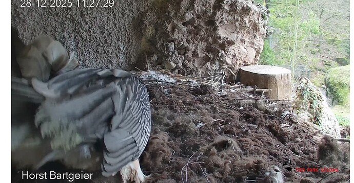 Screenshot_20251228-112842~2