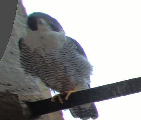 Screenshot_20250922_160743_Chrome