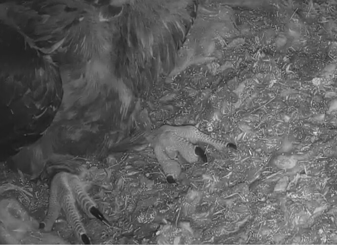 zeitgt her die Füsse 08.05.24