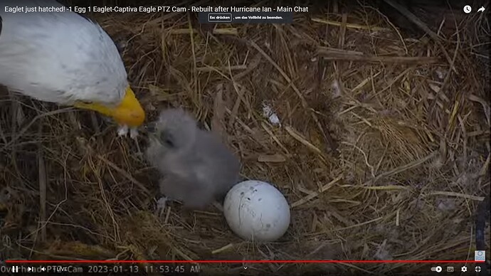 CACC_230113_feed
