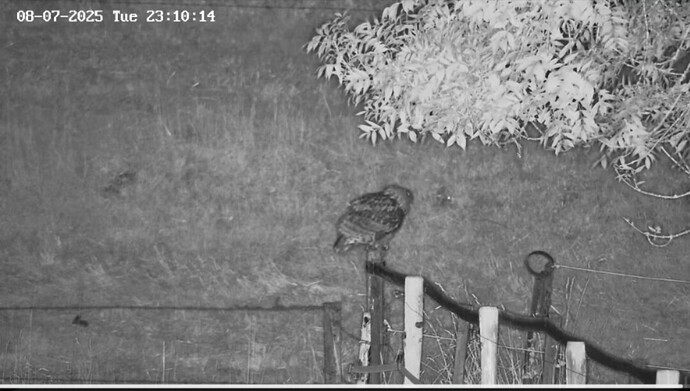 Screenshot_20250708_231837_Studio