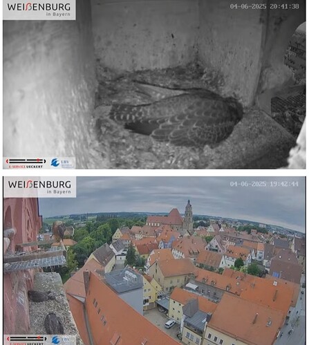 Screenshot_20250604-204147_Chrome