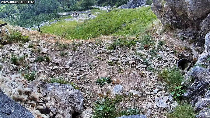 Bildschirmfoto vom 2026-08-05 10-51-46