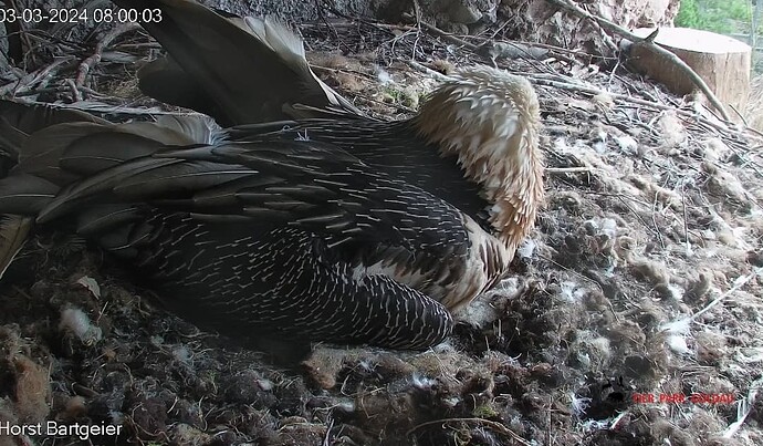 Screenshot_20240303_080111_Samsung Internet