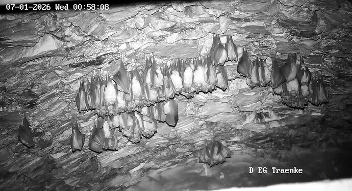 2026-01-07_1 ab 00.00 2. Cluster