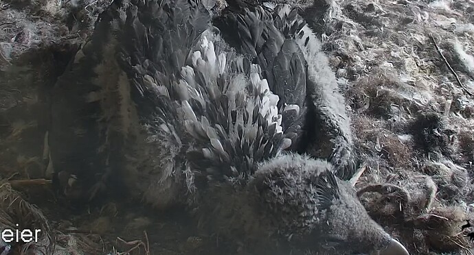 Noch müde 1 01.05.24