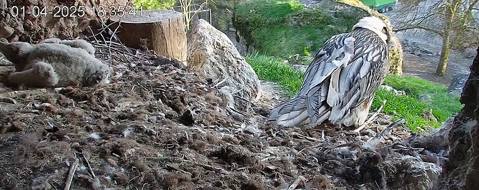 Bartili ist gern mobil 01.04.25