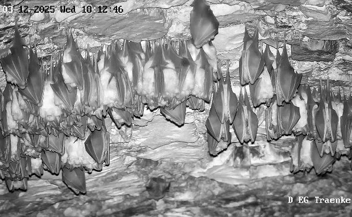 Vollbildaufzeichnung 03.12.2025 181256