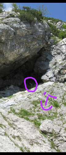 IMG-20230605-WA0002