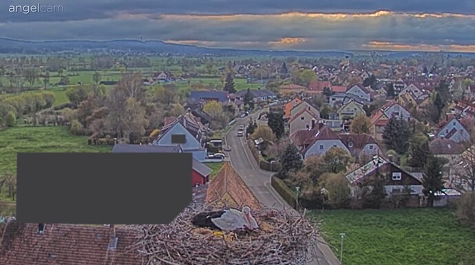 Screenshot (13)