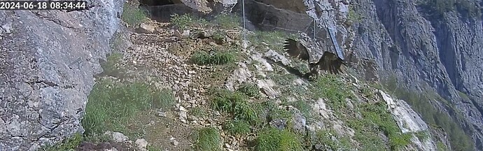 Flugübung Vinz 18.06.24