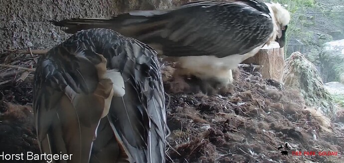 Neues Material 26.01.27