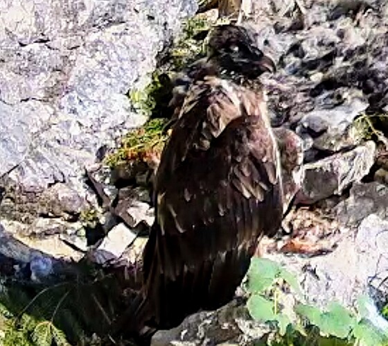 Screenshot_2025-06-13-07-09-45-282_com.android.chrome