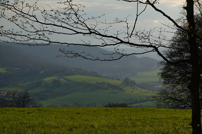 DSC03187