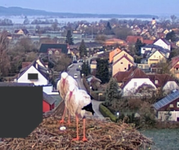 Screenshot_2026-03-24-05-59-36-626_com.android.chrome~2