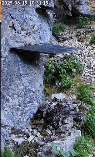 Screenshot 2025-06-19 102621