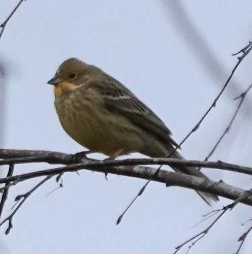 DSC01176_1