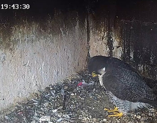 Screenshot_2024-07-22-20-39-44-772_com.android.chrome