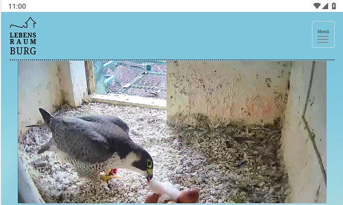 Screenshot_20230405-110053~2