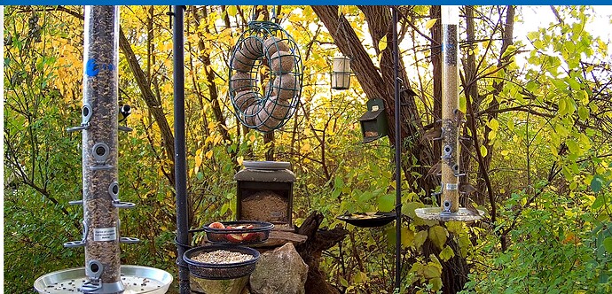 Screenshot_20251031-145558~2