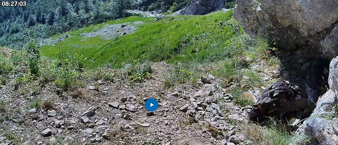 Snap_2026.06.26_08h27m23s_004_