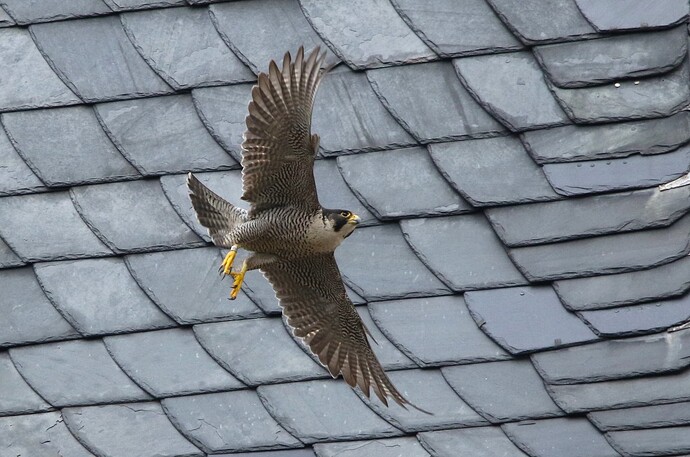 Abflug zum Schlossplatz 3