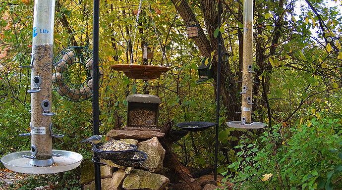 Snap_2024.10.24_17h26m40s_009_