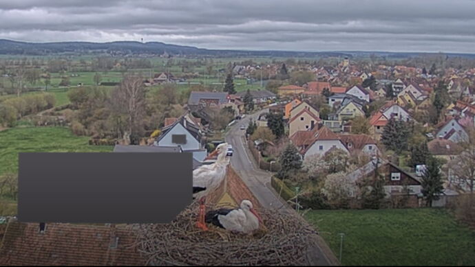 Snap_2023.04.02_14h59m15s_014_