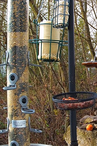 Screenshot_20221227-081407_Chrome