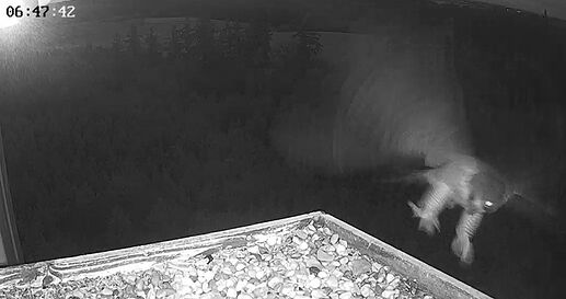 Snap_2026.02.23_06h49m40s_001_