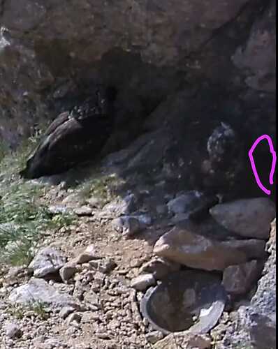 IMG-20230618-WA0002