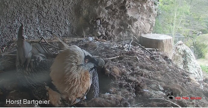 Screenshot_20260209-110459~2