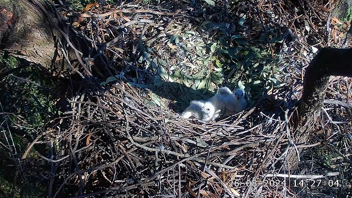 Screenshot (1443)