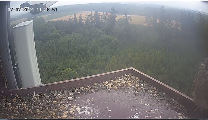 Screenshot_20240707_122731_Chrome