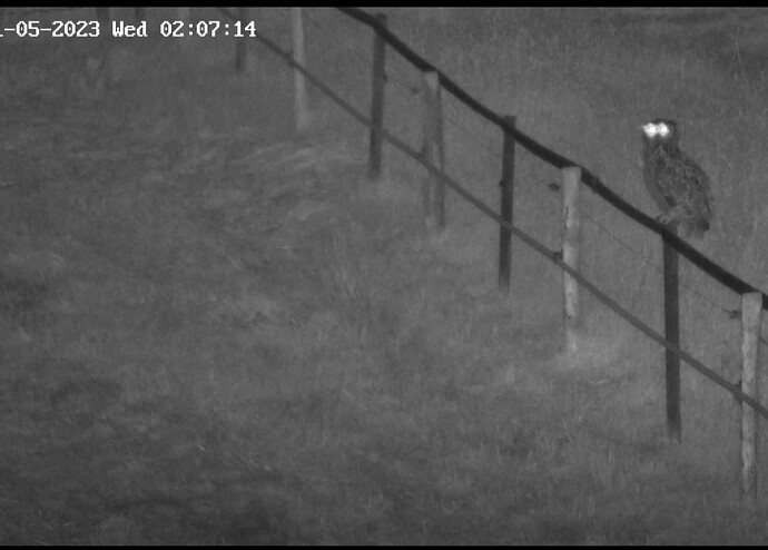 Screenshot_20230531_020738_Samsung Internet