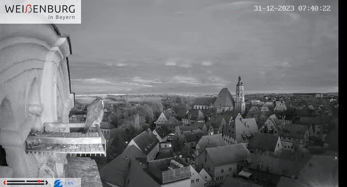 Screenshot_2023-12-31-07-40-31-013_com.android.chrome
