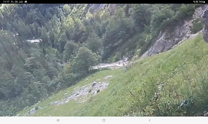 Screenshot_20230728-111708_Chrome