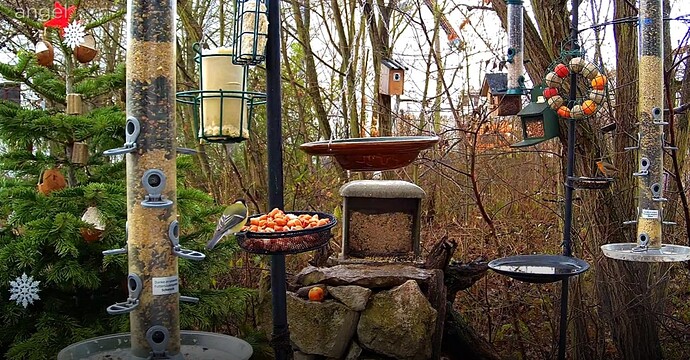 Screenshot_20221224-085023_Samsung Internet